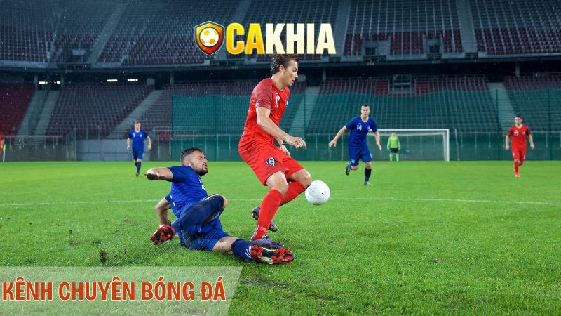 Cakhia TV cập nhật kết quả bóng đá những giải đấu nào?